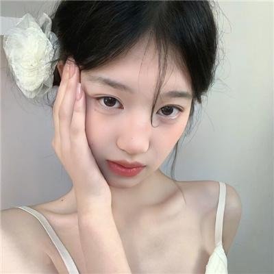 风骚律师